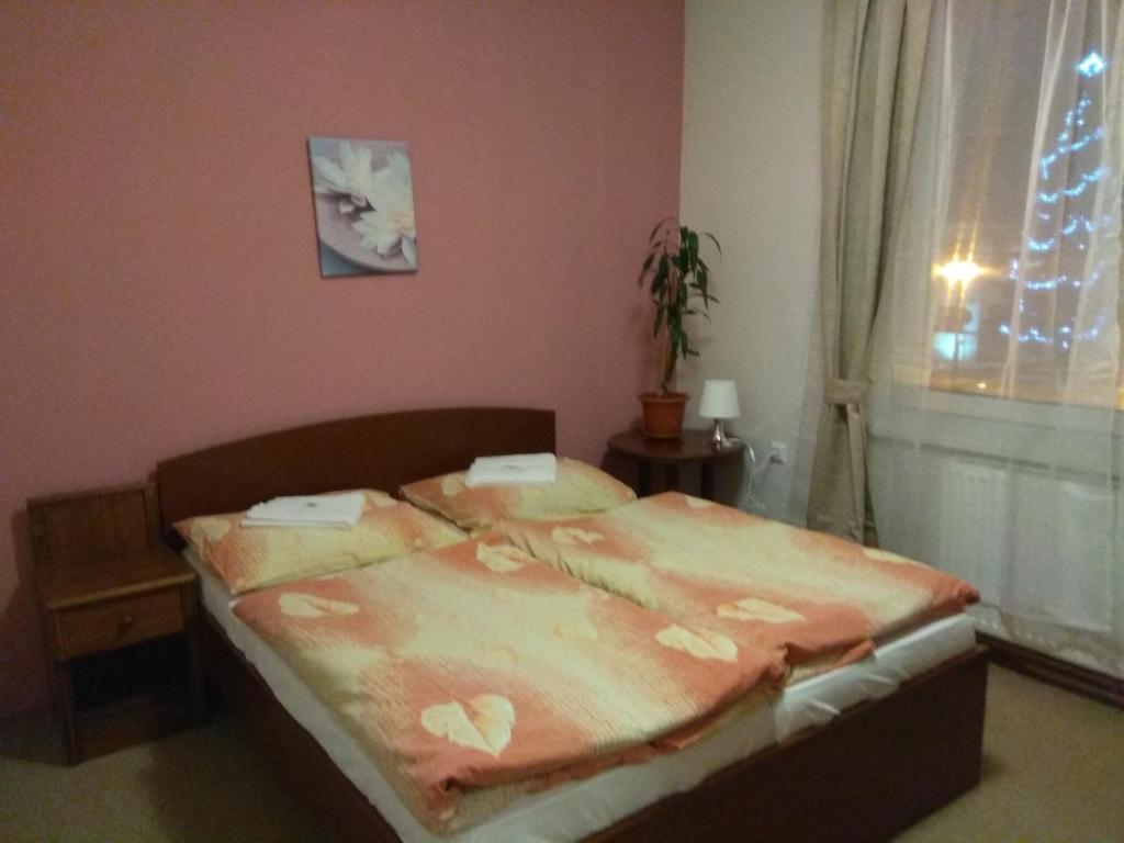 Hotel Lidový dům room 4
